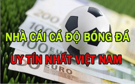 Cá độ bóng đá tại các nhà cái uy tín